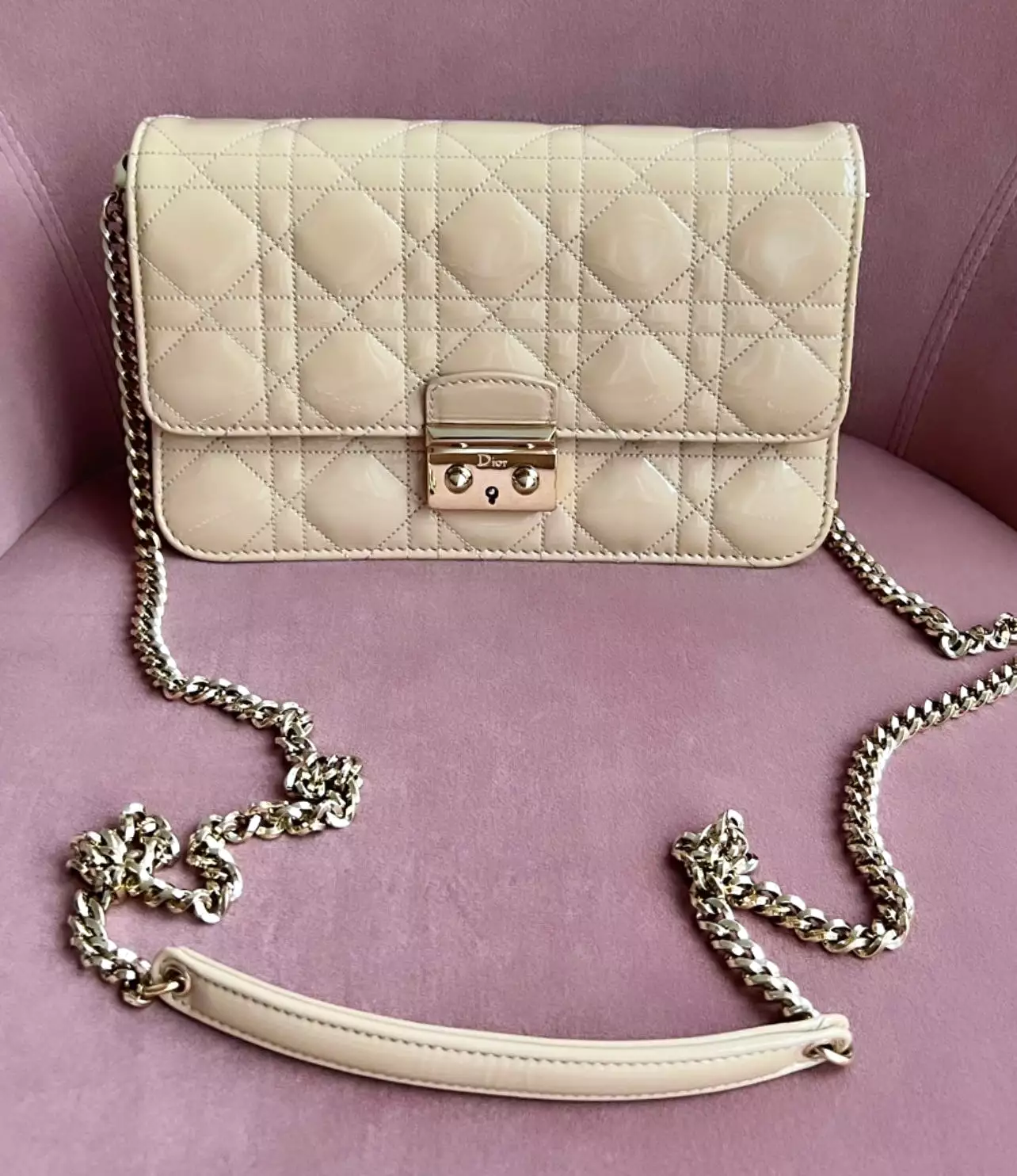 Christian Dior Promenade Bag