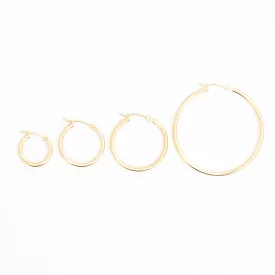 Gold Hinged Hoop Earrings