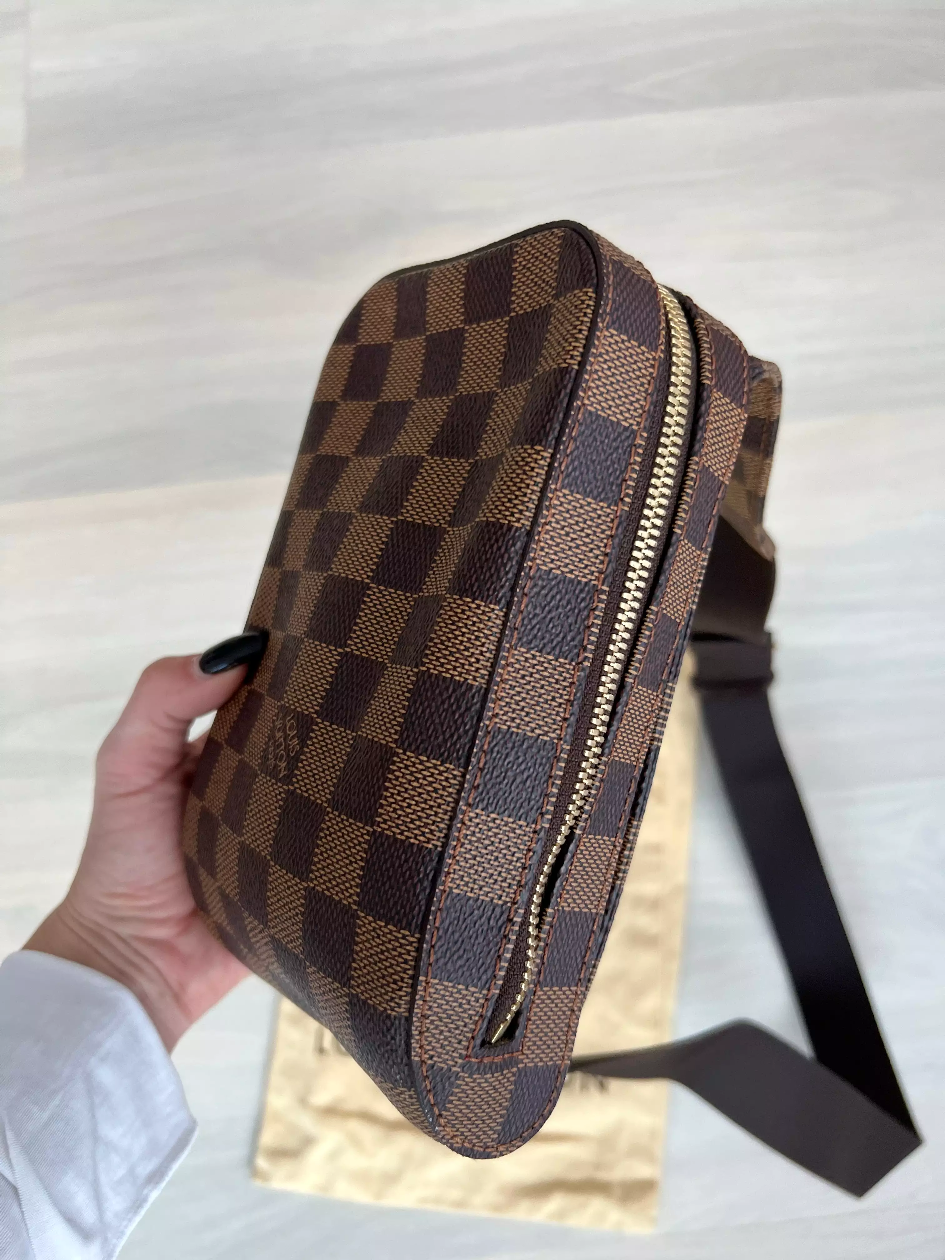 Louis Vuitton Gerinamos Bag