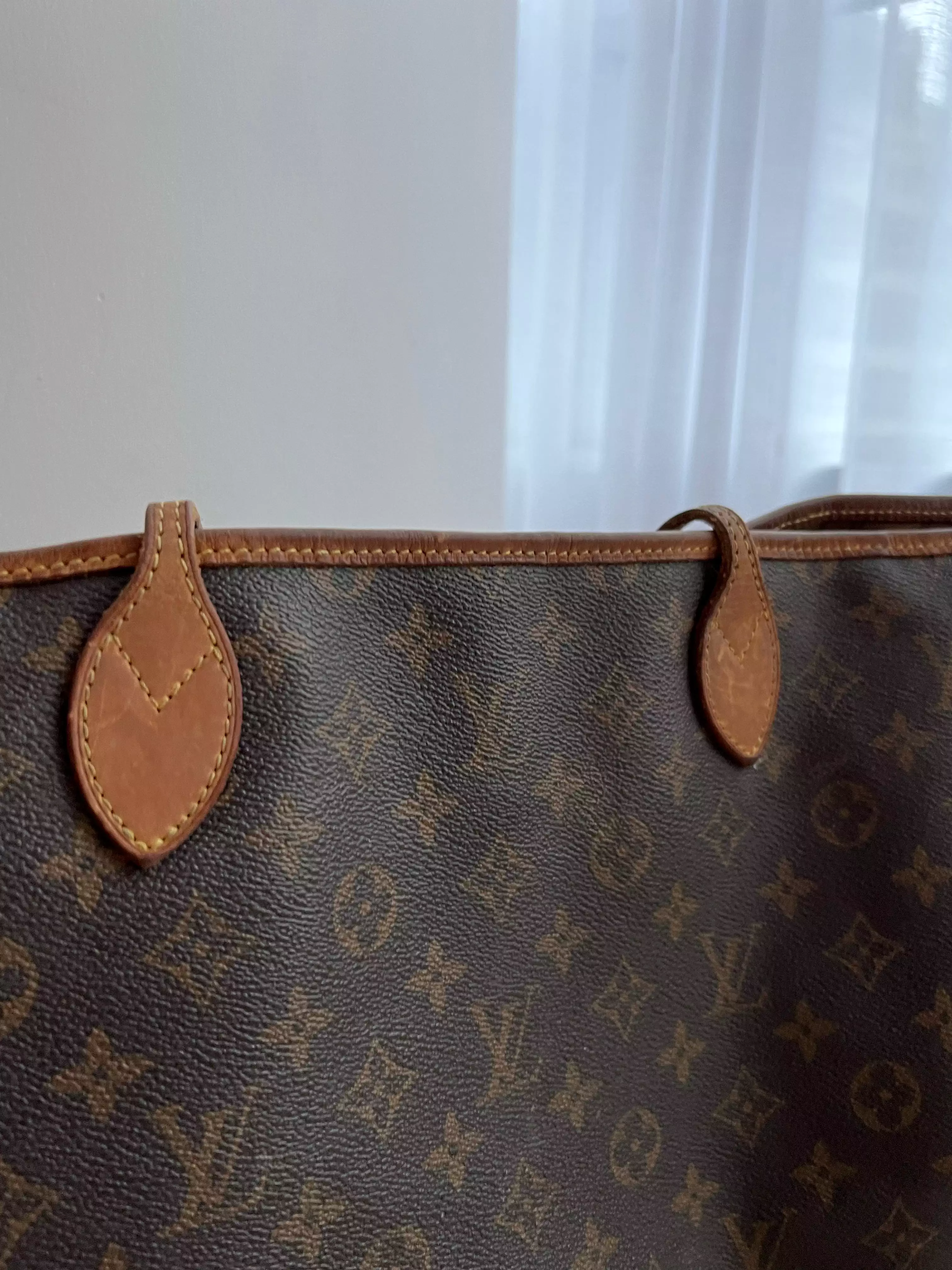 Louis Vuitton Neverfull bag